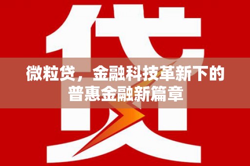 名山微粒贷，金融科技革新下的普惠金融新篇章