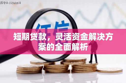 山阳短期贷款，灵活资金解决方案的全面解析