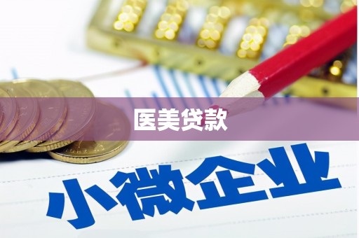 绥中医美贷款