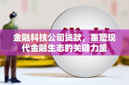 岷县金融科技公司贷款，重塑现代金融生态的关键力量