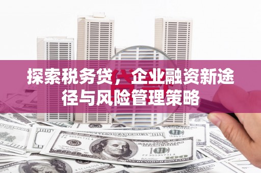交口探索税务贷，企业融资新途径与风险管理策略