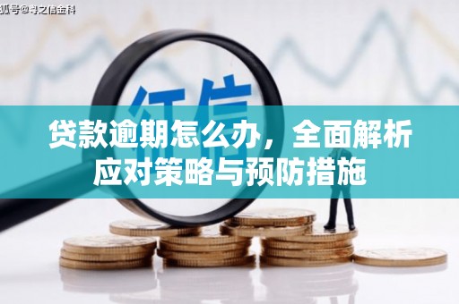旌阳贷款逾期怎么办，全面解析应对策略与预防措施