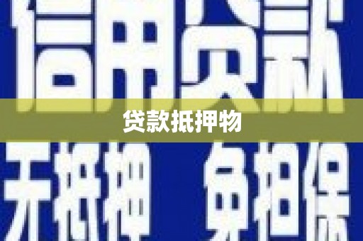 定海贷款抵押物