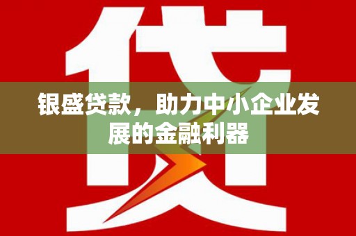 苏家屯银盛贷款，助力中小企业发展的金融利器