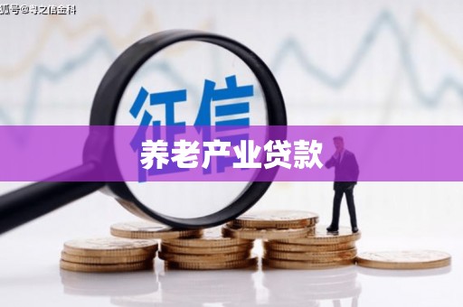 乐东养老产业贷款