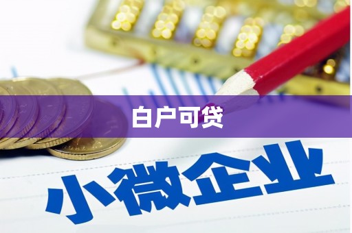 泾阳白户可贷