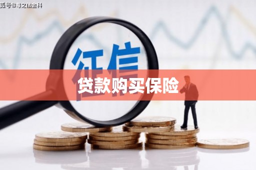 乌恰贷款购买保险