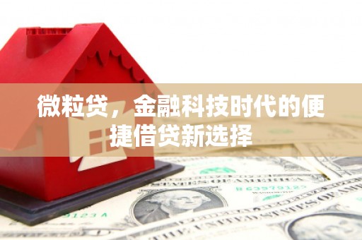 冕宁微粒贷，金融科技时代的便捷借贷新选择