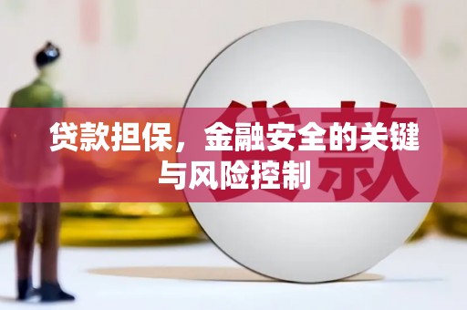 陆良贷款担保，金融安全的关键与风险控制
