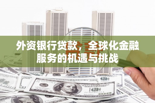 定襄外资银行贷款，全球化金融服务的机遇与挑战