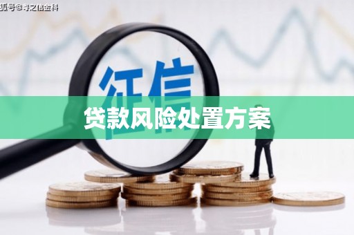 广宗贷款风险处置方案