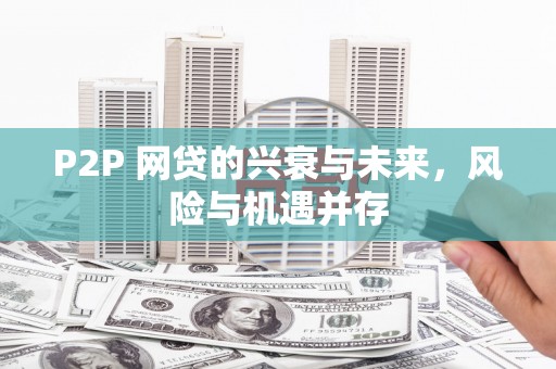 岳阳楼P2P 网贷的兴衰与未来，风险与机遇并存