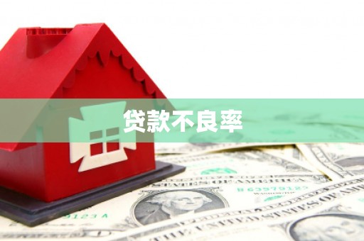 延安贷款不良率