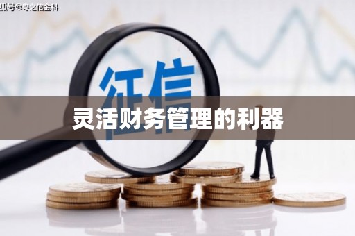 延津灵活财务管理的利器