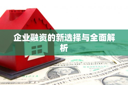 府谷企业融资的新选择与全面解析